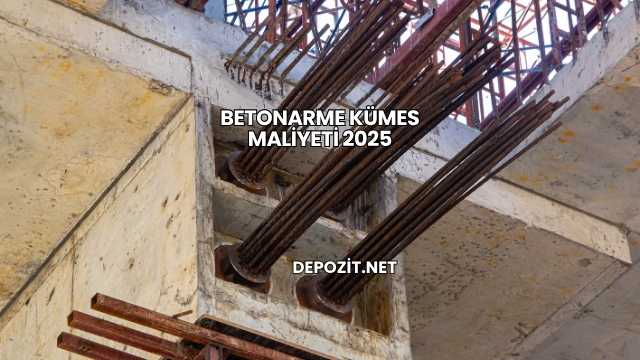 Betonarme Kümes Maliyeti 2025