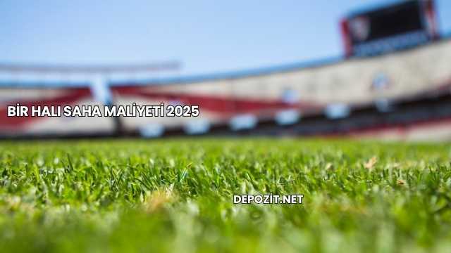 Bir Halı Saha Maliyeti 2025