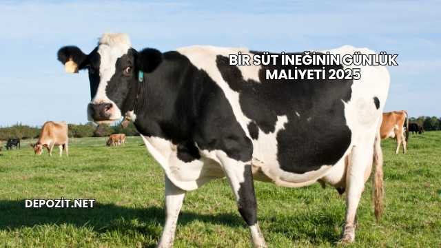 Bir Süt İneğinin Günlük Maliyeti 2025
