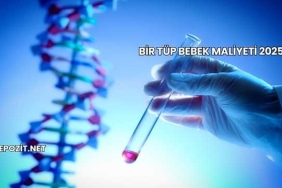 Bir Tüp Bebek Maliyeti 2025