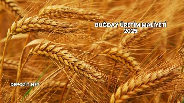Buğday Üretim Maliyeti 2025