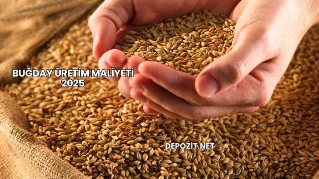 Buğday Üretim Maliyeti 2025