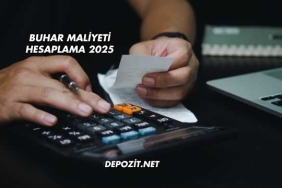 Buhar Maliyeti Hesaplama 2025