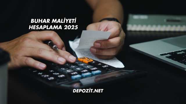Buhar Maliyeti Hesaplama 2025