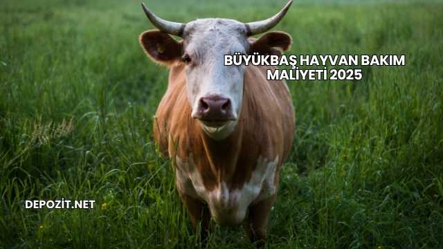 Büyükbaş Hayvan Bakım Maliyeti 2025
