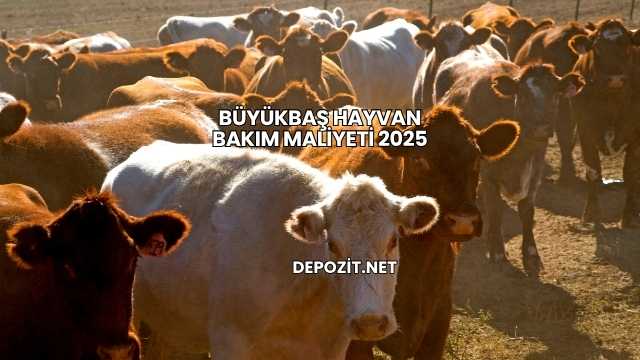 Büyükbaş Hayvan Bakım Maliyeti 2025