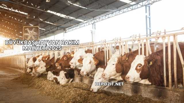Büyükbaş Hayvan Bakım Maliyeti 2025