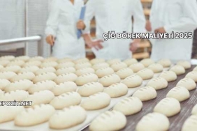 Çiğ Börek Maliyeti 2025