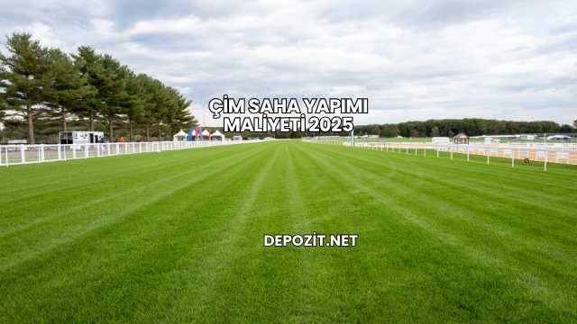 Çim Saha Yapımı Maliyeti 2025