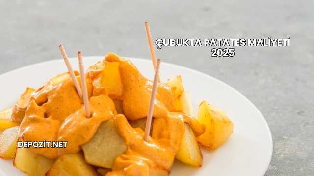 Çubukta Patates Maliyeti 2025