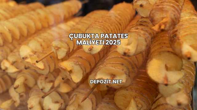 Çubukta Patates Maliyeti 2025