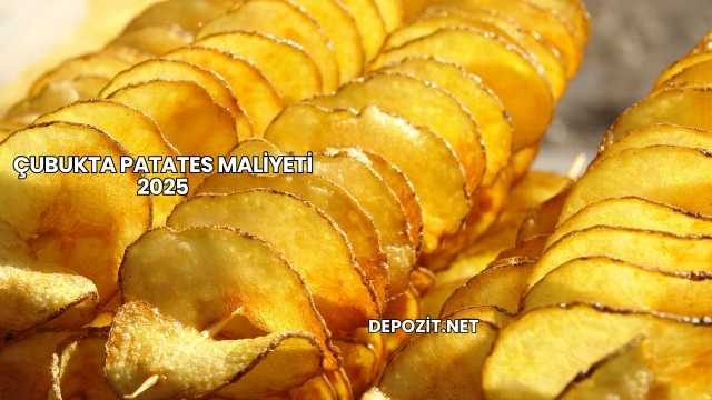 Çubukta Patates Maliyeti 2025