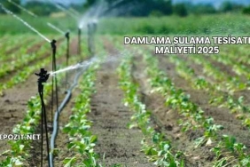 Damlama Sulama Tesisatı Maliyeti 2025