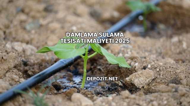 Damlama Sulama Tesisatı Maliyeti 2025