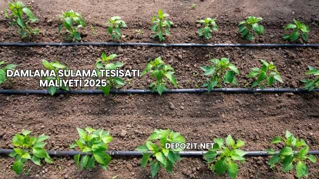 Damlama Sulama Tesisatı Maliyeti 2025