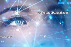 DeepSeek Maliyeti 2025