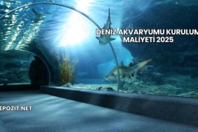 Deniz Akvaryumu Kurulum Maliyeti 2025
