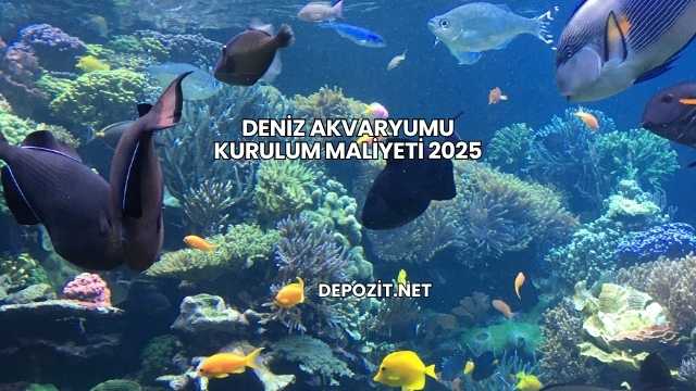 Deniz Akvaryumu Kurulum Maliyeti 2025