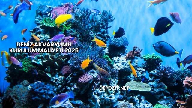 Deniz Akvaryumu Kurulum Maliyeti 2025