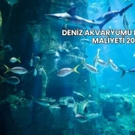 Deniz Akvaryumu Kurulumu Maliyeti 2025