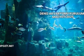 Deniz Akvaryumu Kurulumu Maliyeti 2025