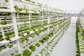 Dikey Tarım Maliyeti 2025