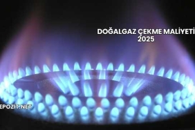 Doğalgaz Çekme Maliyeti 2025