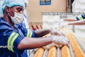 Fındık İşleme Tesisi Maliyeti 2025