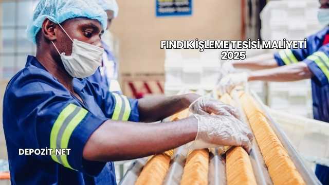 Fındık İşleme Tesisi Maliyeti 2025