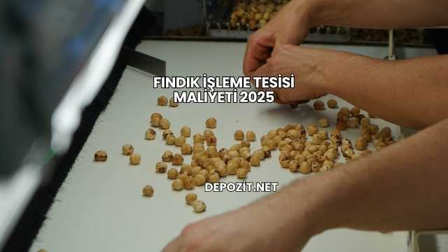 Fındık İşleme Tesisi Maliyeti 2025