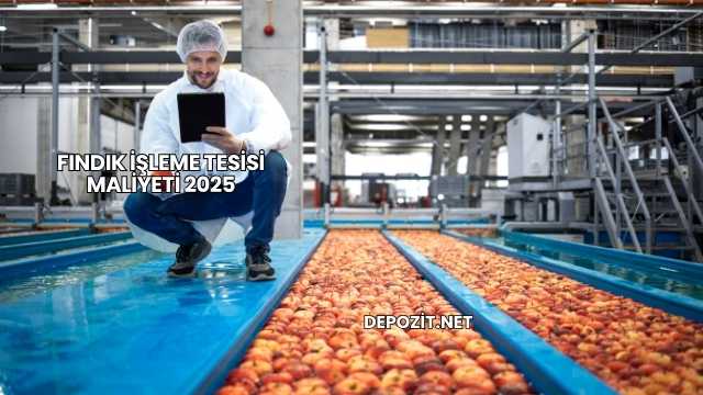 Fındık İşleme Tesisi Maliyeti 2025