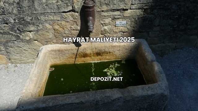 Hayrat Maliyeti 2025