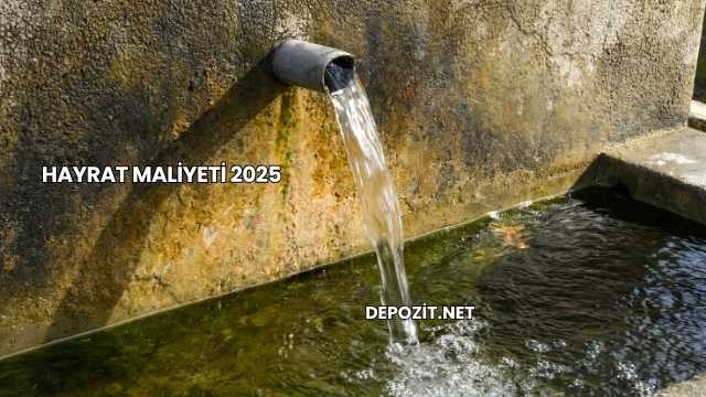 Hayrat Maliyeti 2025
