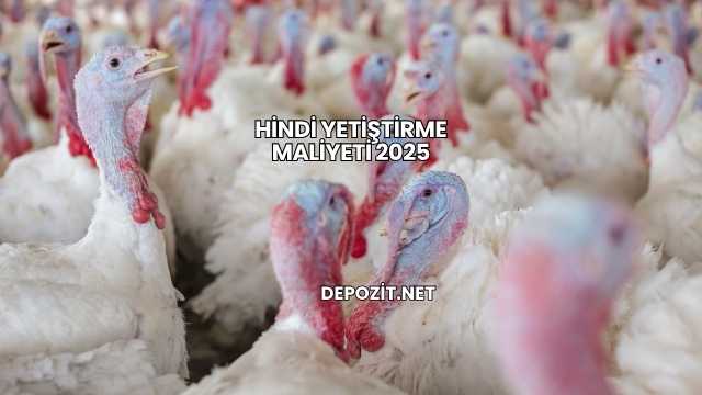 Hindi Yetiştirme Maliyeti 2025