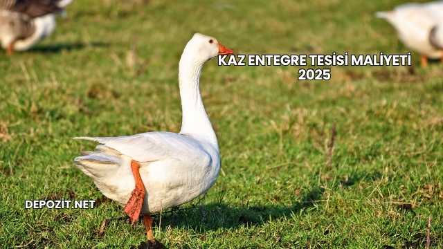 Kaz Entegre Tesisi Maliyeti 2025