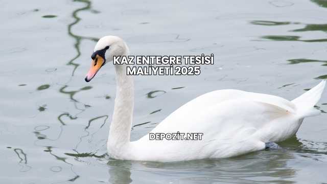 Kaz Entegre Tesisi Maliyeti 2025