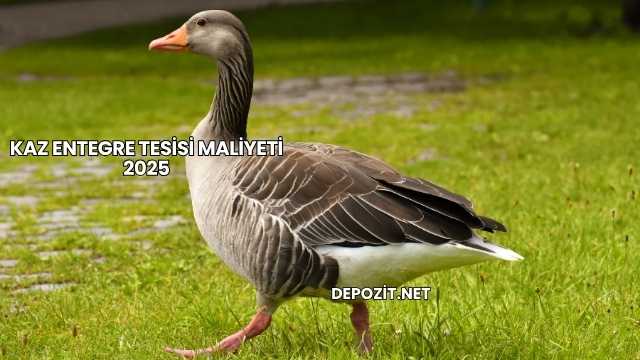 Kaz Entegre Tesisi Maliyeti 2025