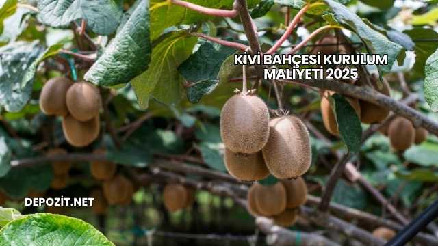 Kivi Bahçesi Kurulum Maliyeti 2025