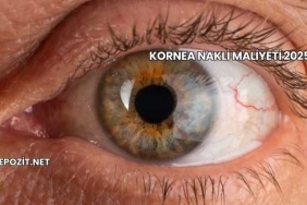 Kornea Nakli Maliyeti 2025