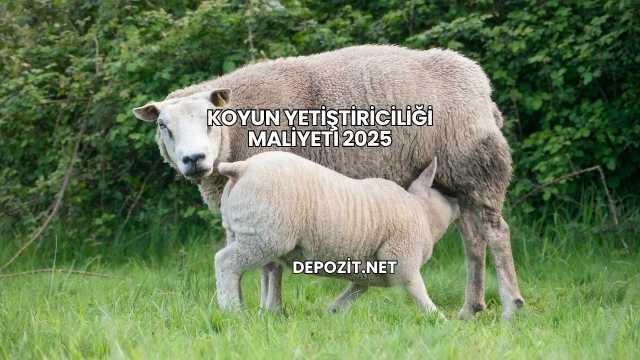 Koyun Yetiştiriciliği Maliyeti 2025
