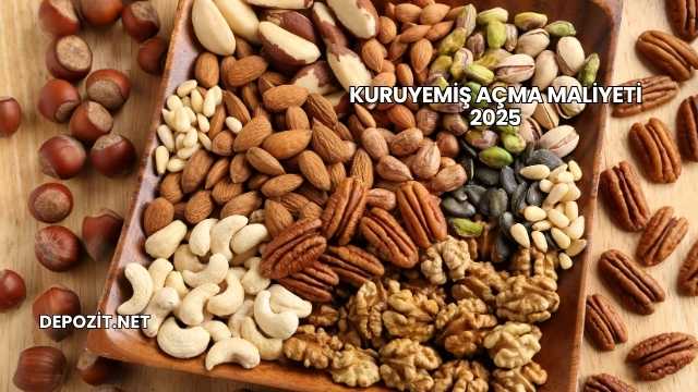 Kuruyemiş Açma Maliyeti 2025