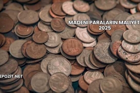Madeni Paraların Maliyeti 2025