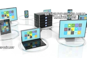 Metin2 PVP Server Açma Maliyeti 2025