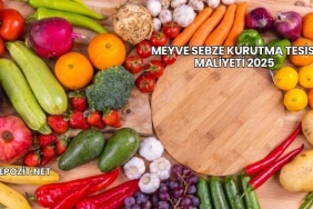 Meyve Sebze Kurutma Tesisi Maliyeti 2025