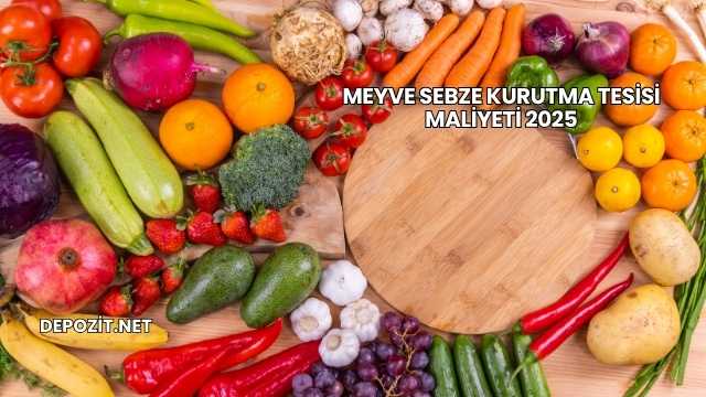 Meyve Sebze Kurutma Tesisi Maliyeti 2025