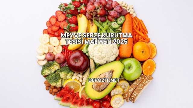 Meyve Sebze Kurutma Tesisi Maliyeti 2025