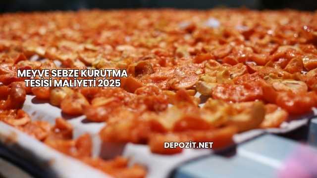 Meyve Sebze Kurutma Tesisi Maliyeti 2025