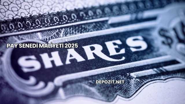 Pay Senedi Maliyeti 2025