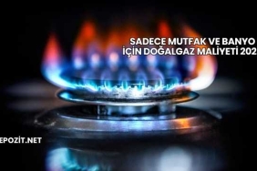Sadece Mutfak ve Banyo İçin Doğalgaz Maliyeti 2025