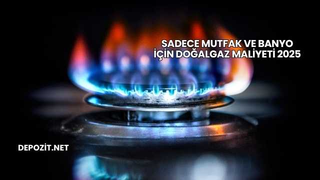 Sadece Mutfak ve Banyo İçin Doğalgaz Maliyeti 2025